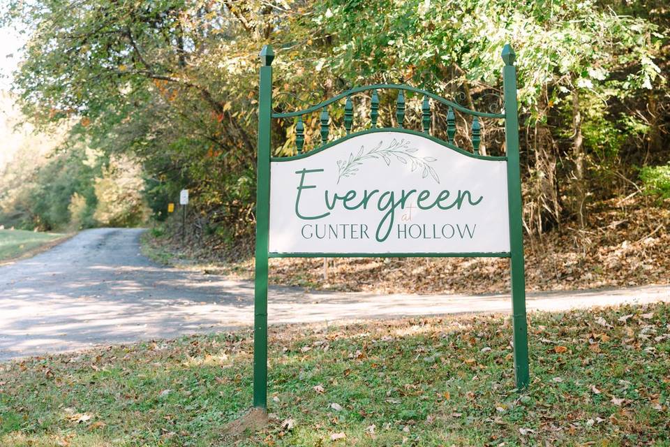Evergreen Gunter Hollow
