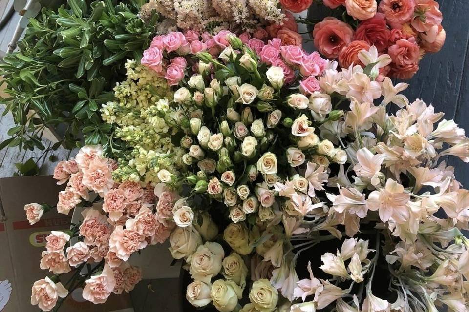 Blooms With Love by Mariel Cota
