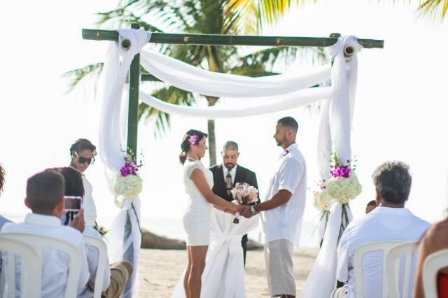 Merylin Andino- Wedding Planner