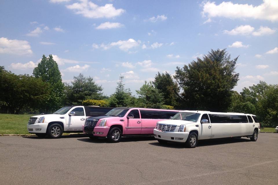 Best Limousine