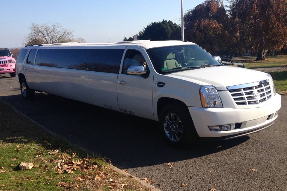 Best Limousine