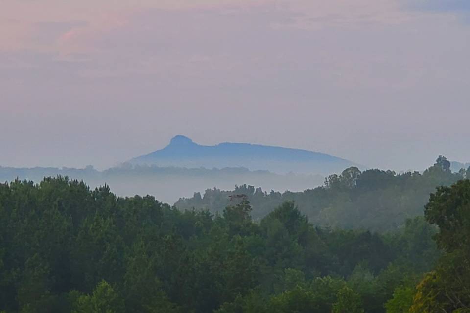 Pilot Mt from Bedroom 9