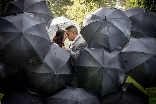 Rain or Shine