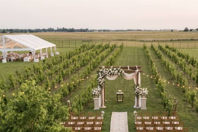 The Vineyard