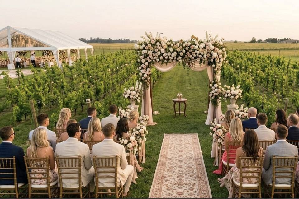 The Vineyard