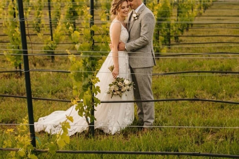 The Vineyard
