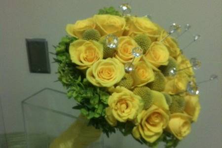 Blooming Flowers
