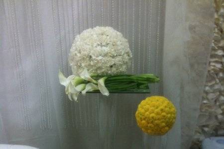 Blooming Flowers