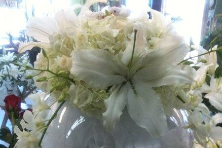 Blooming Flowers