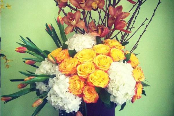 Blooming Flowers