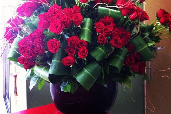 Blooming Flowers