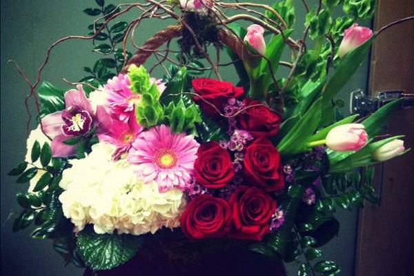 Blooming Flowers