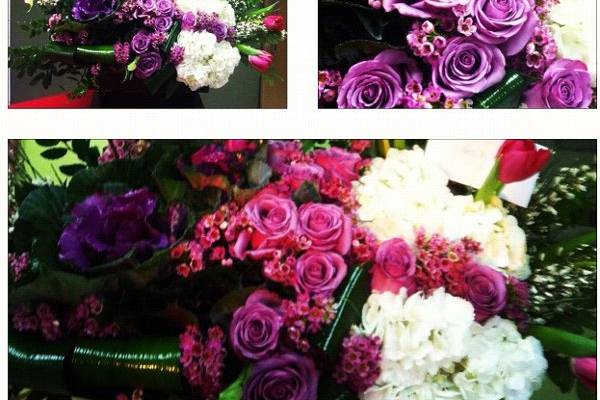 Blooming Flowers