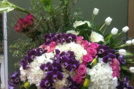 Blooming Flowers