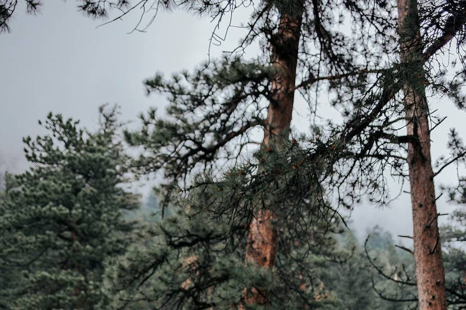 Estes Park Wedding