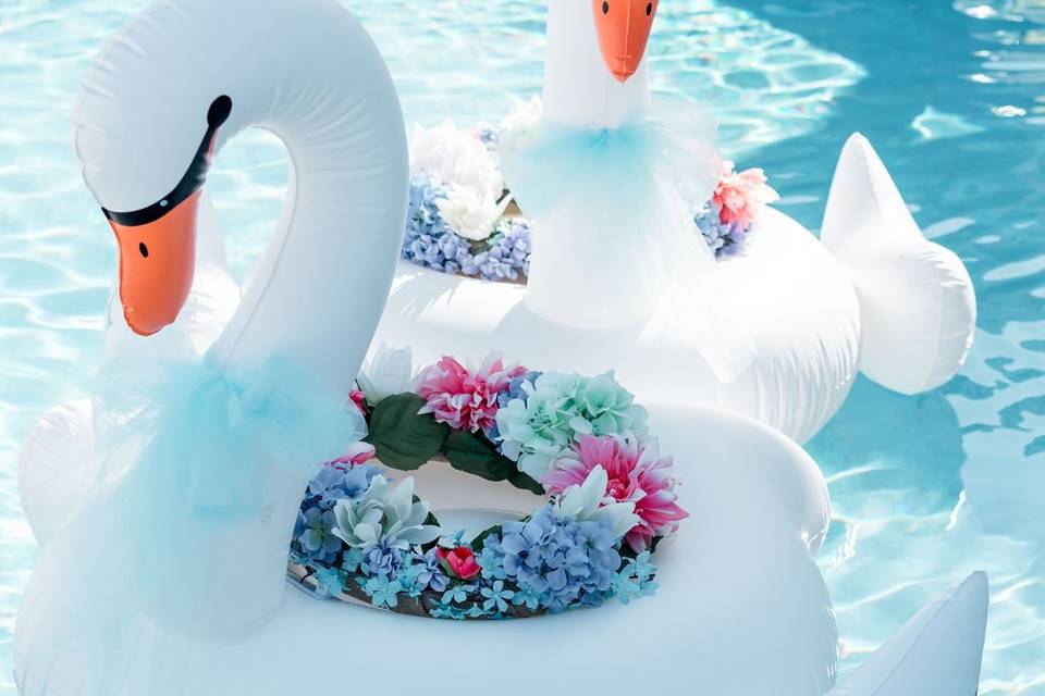 All Decked Out pool swans