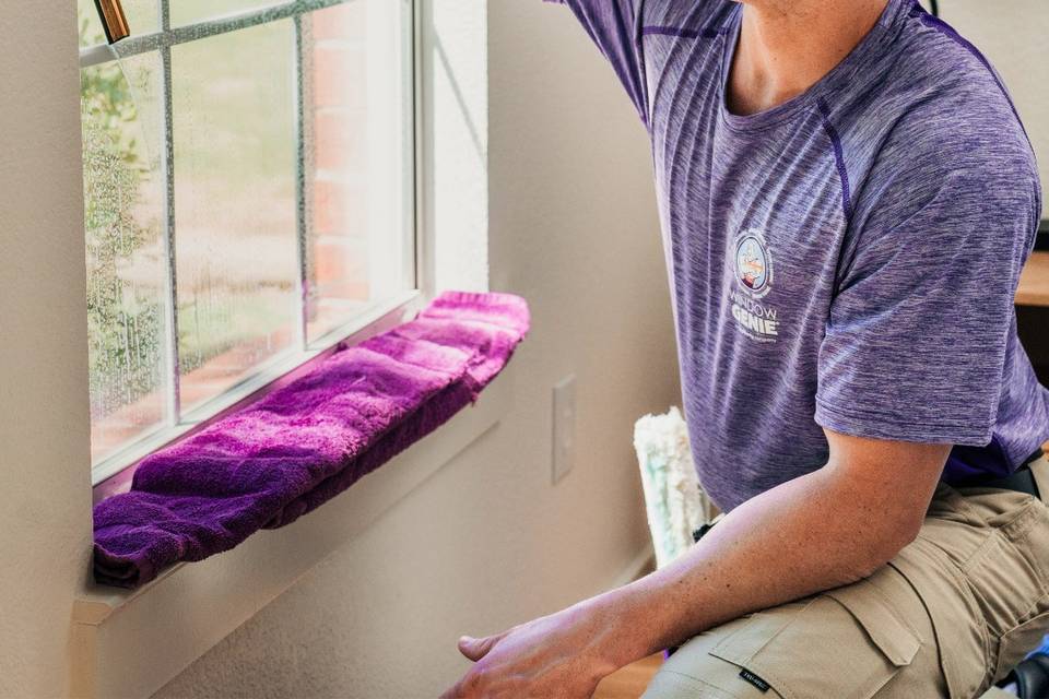 Window Genie