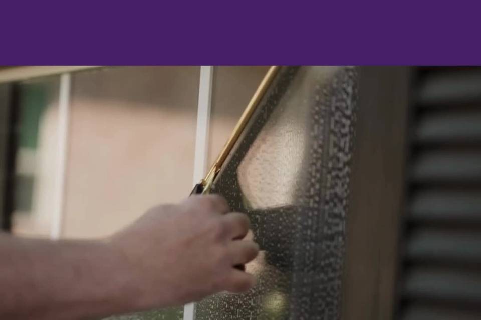 Window Genie