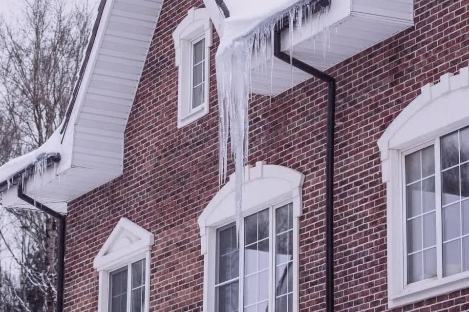 Window Genie