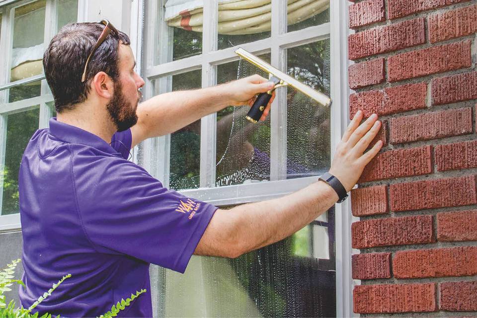 Window Genie