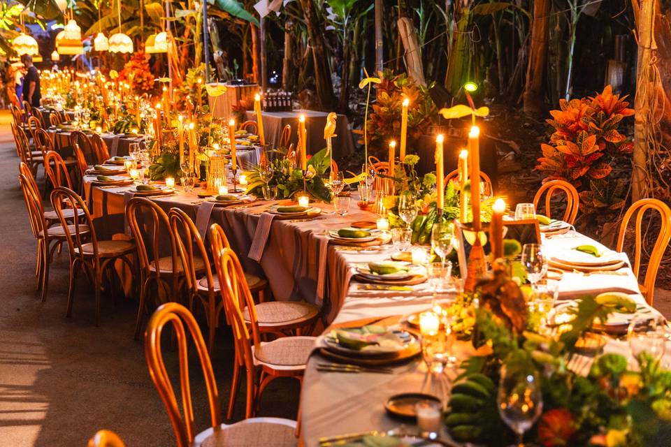 Jungle Vibe Reception