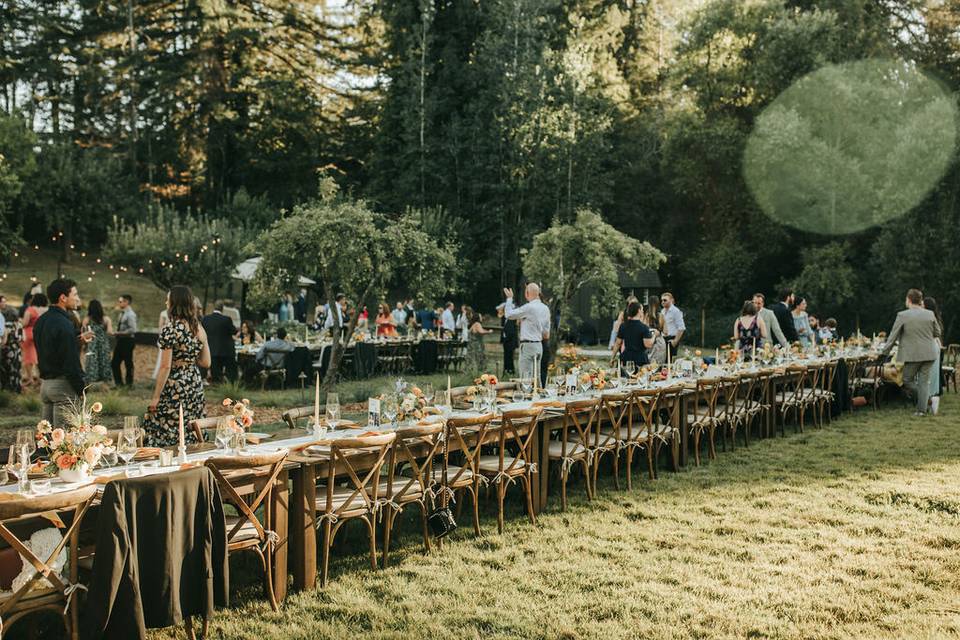 Sonoma Wedding