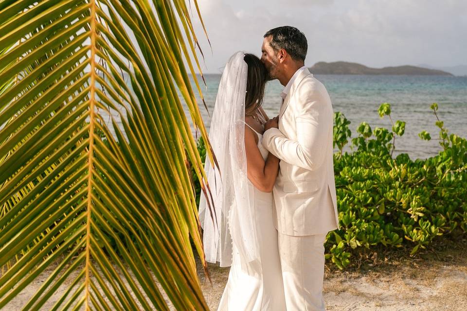 Palm fronds and love
