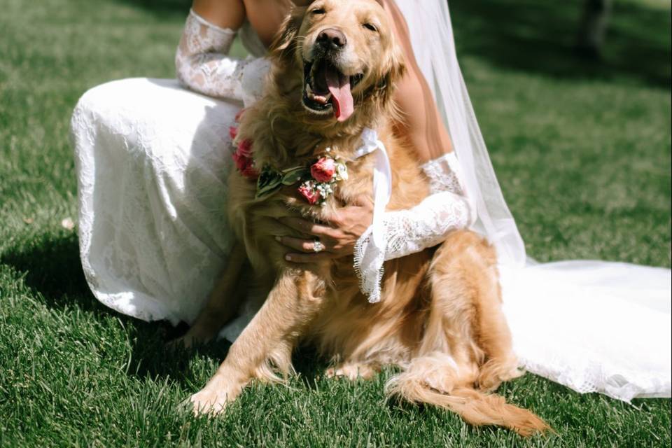 Furry Friends
