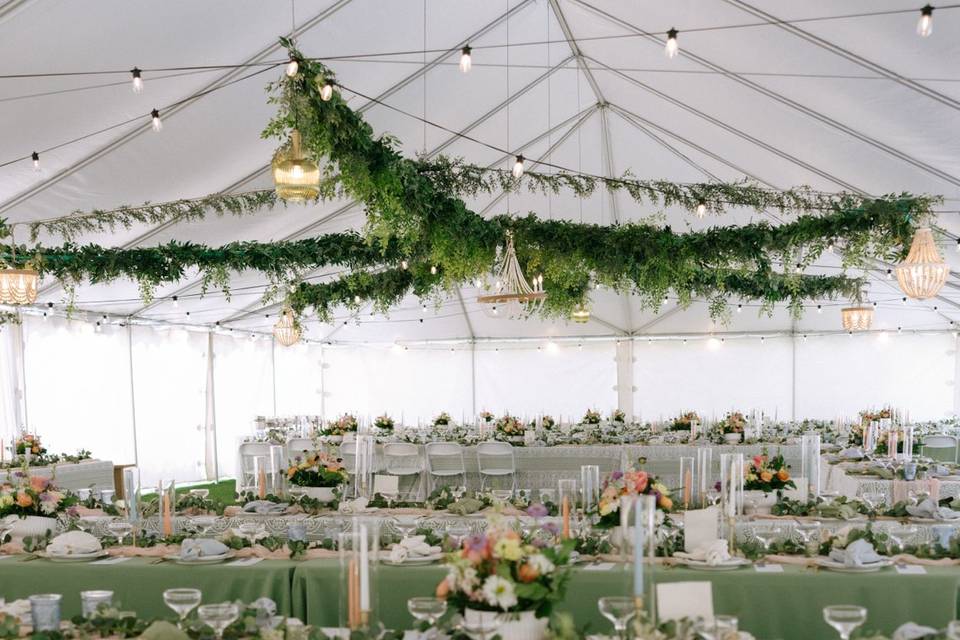 Venue Setup