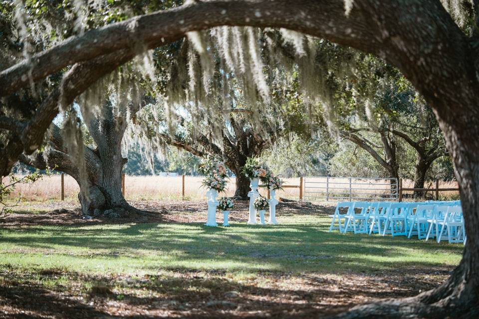 Brown's Grove
