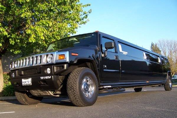 Black 20 seater limo