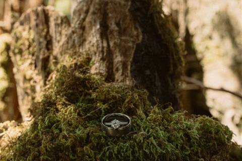 Wedding ring in moss