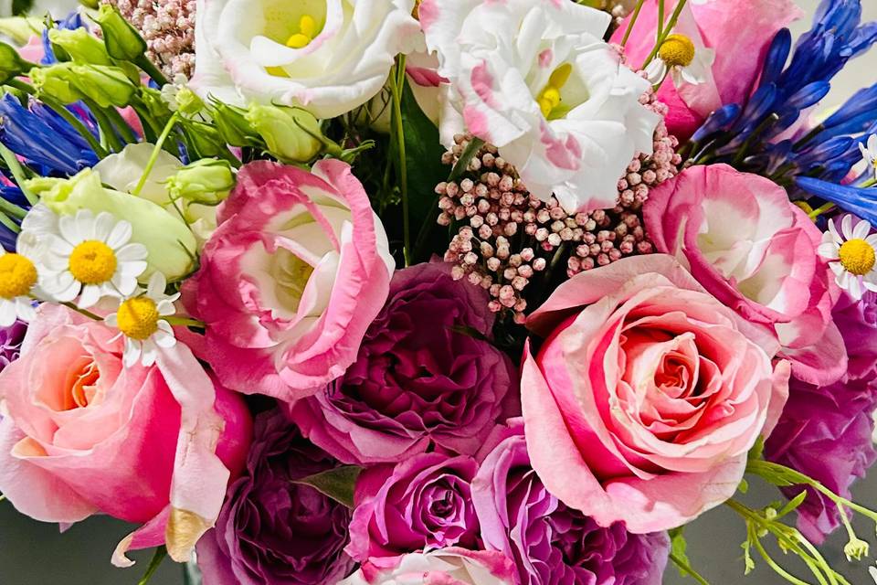 Bright Pinks and Purples