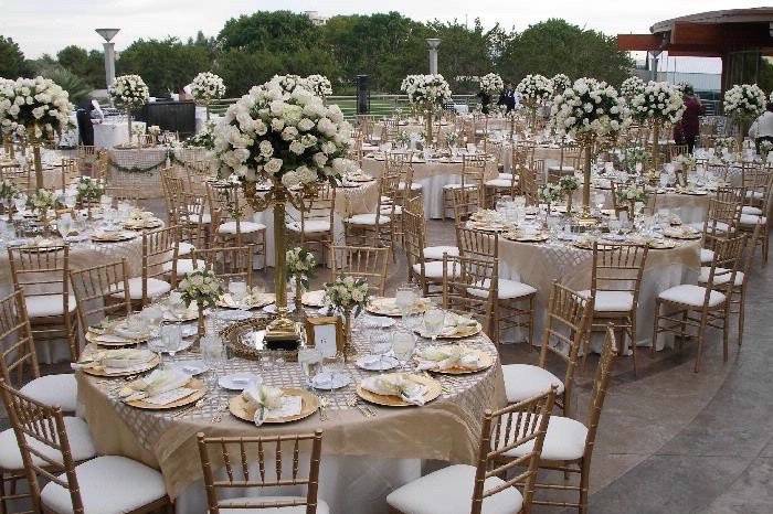 A Touch of Elegance Party Rentals