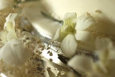 A Million Memories Photography