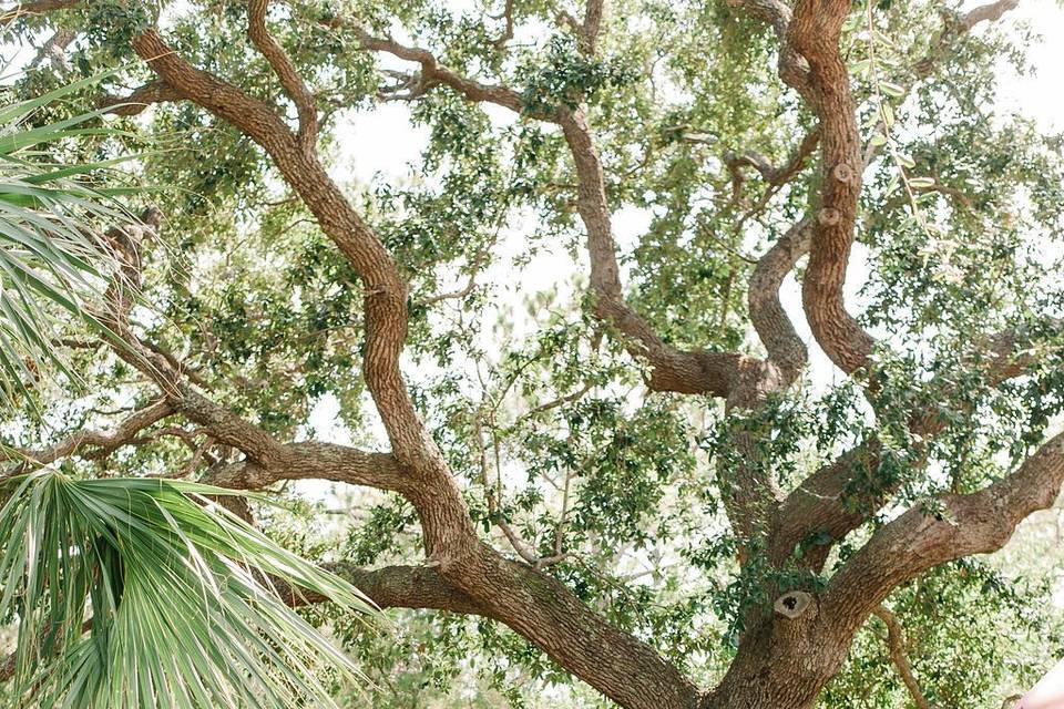 The Tybee Island Wedding Chapel & Grand Ballroom