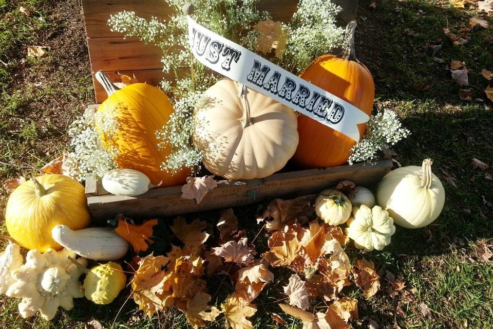 Just married sign by the pumpkins
