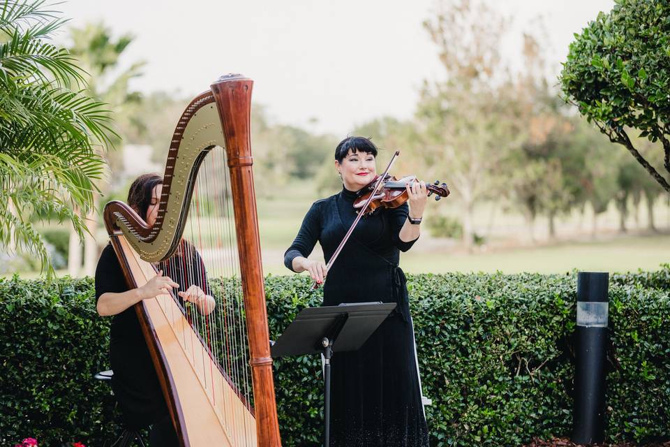 Ceremony lawns