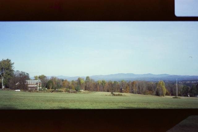IMG_7387.JPG