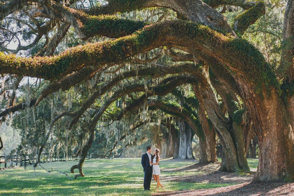 Charlie Martin Photography - Photography - Johns Island, SC - WeddingWire