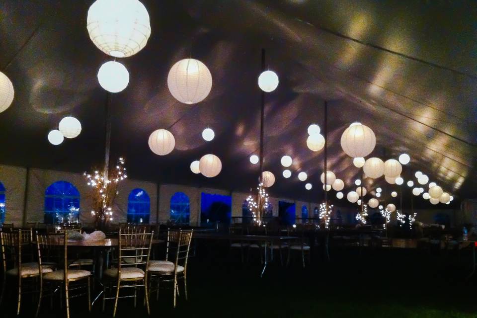 Wedding reception lights