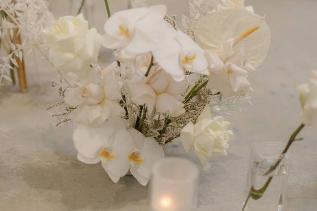 Photography: Michelle Scott