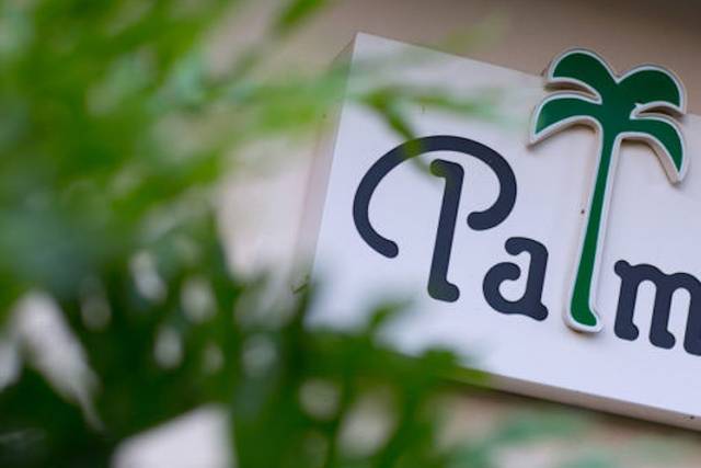 The Palm Chicago