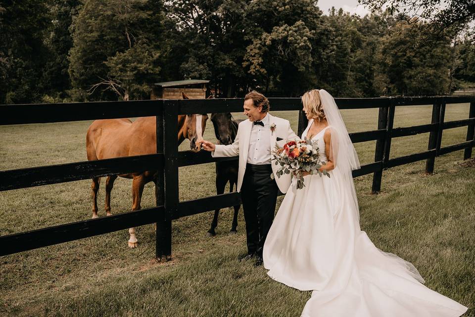 Couple with the Horses