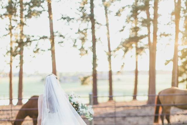 Whitefish Wedding