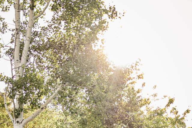 Schroeger Photography Co.