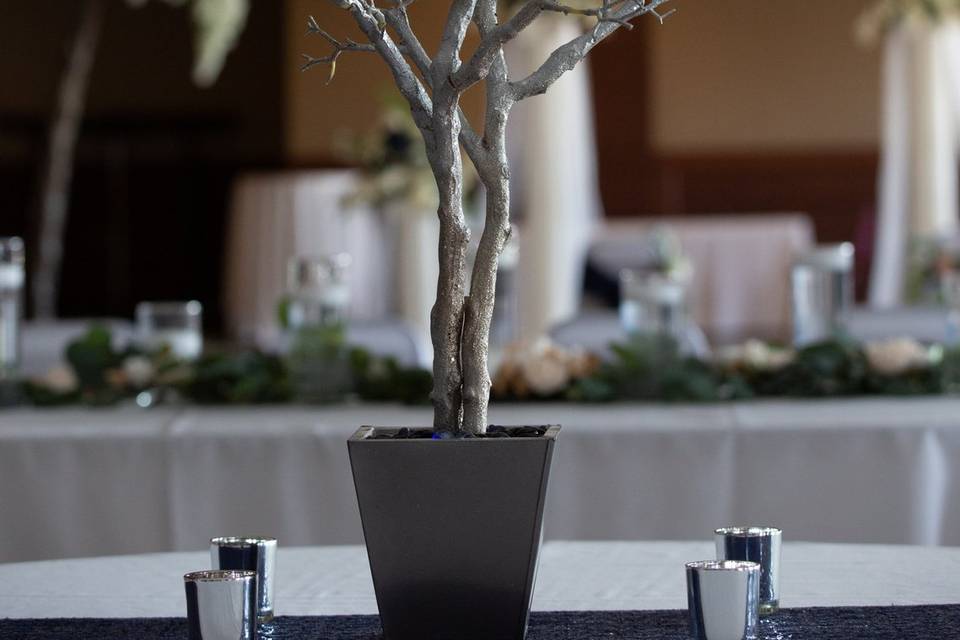 Silver Manzanita Branches