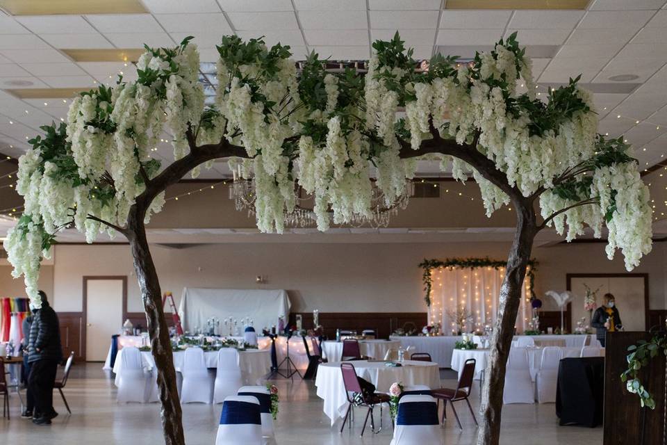 Wisteria Trees