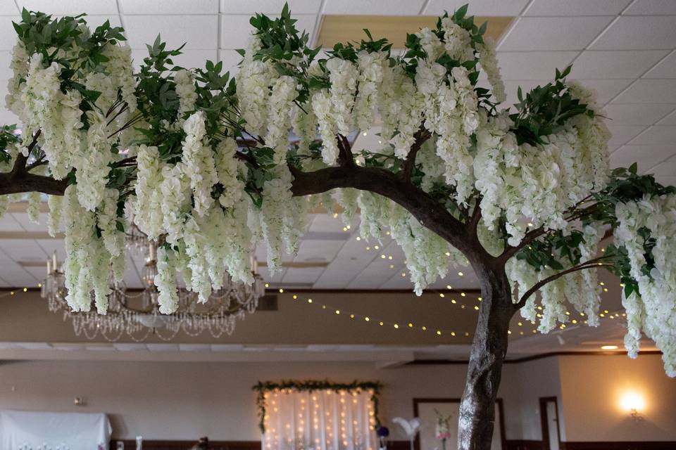 Wisteria Close Up