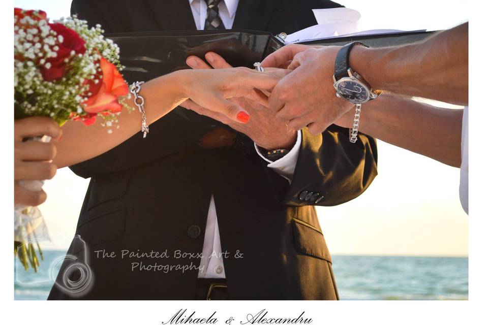 The Painted Boxx Photography